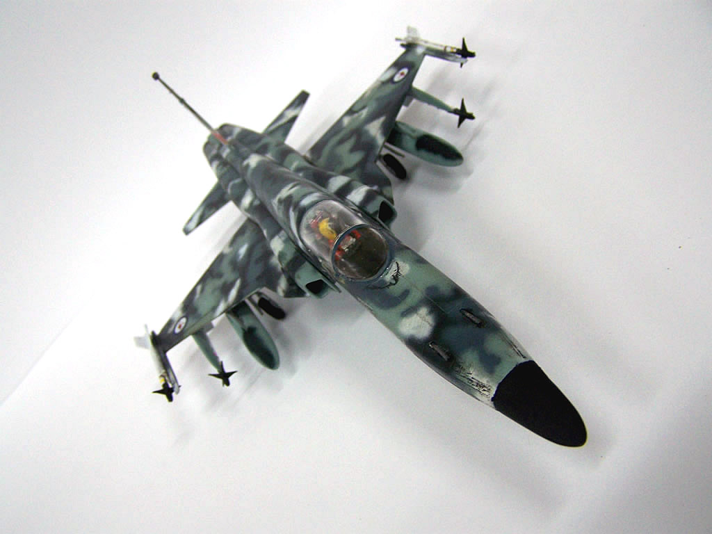 “Whatif” Northrop F-5E Tiger